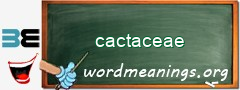 WordMeaning blackboard for cactaceae